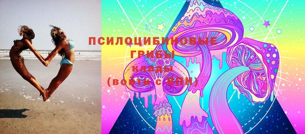 не бодяженный Горно-Алтайск