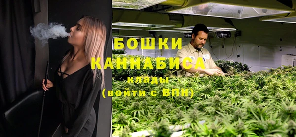 не бодяженный Горно-Алтайск