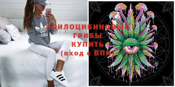 не бодяженный Горно-Алтайск